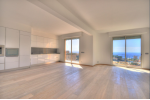 2-х уровневые апартаменты в Монако 